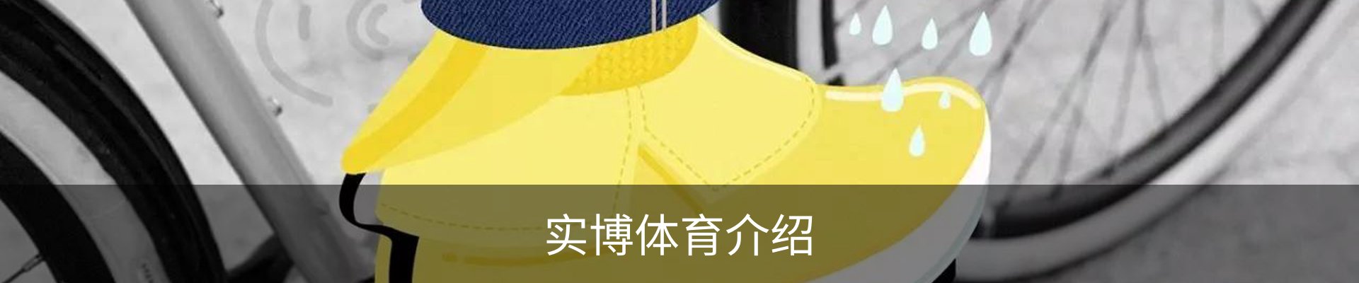 实博体育介绍